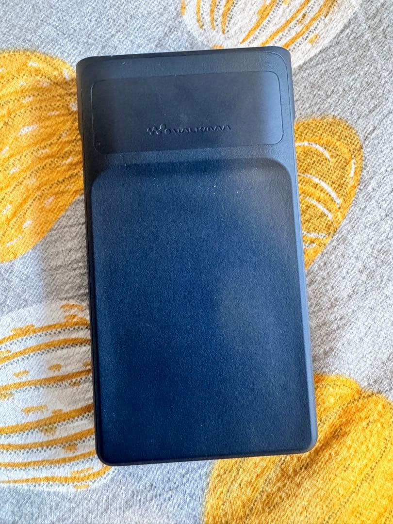 SONY NW-WM1AM2 と純正レザーケース
