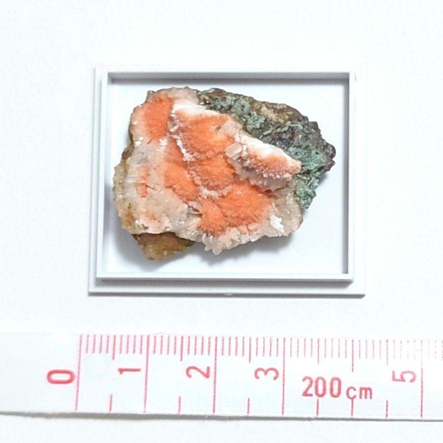 メソライト 2：カダクワニ（インド）