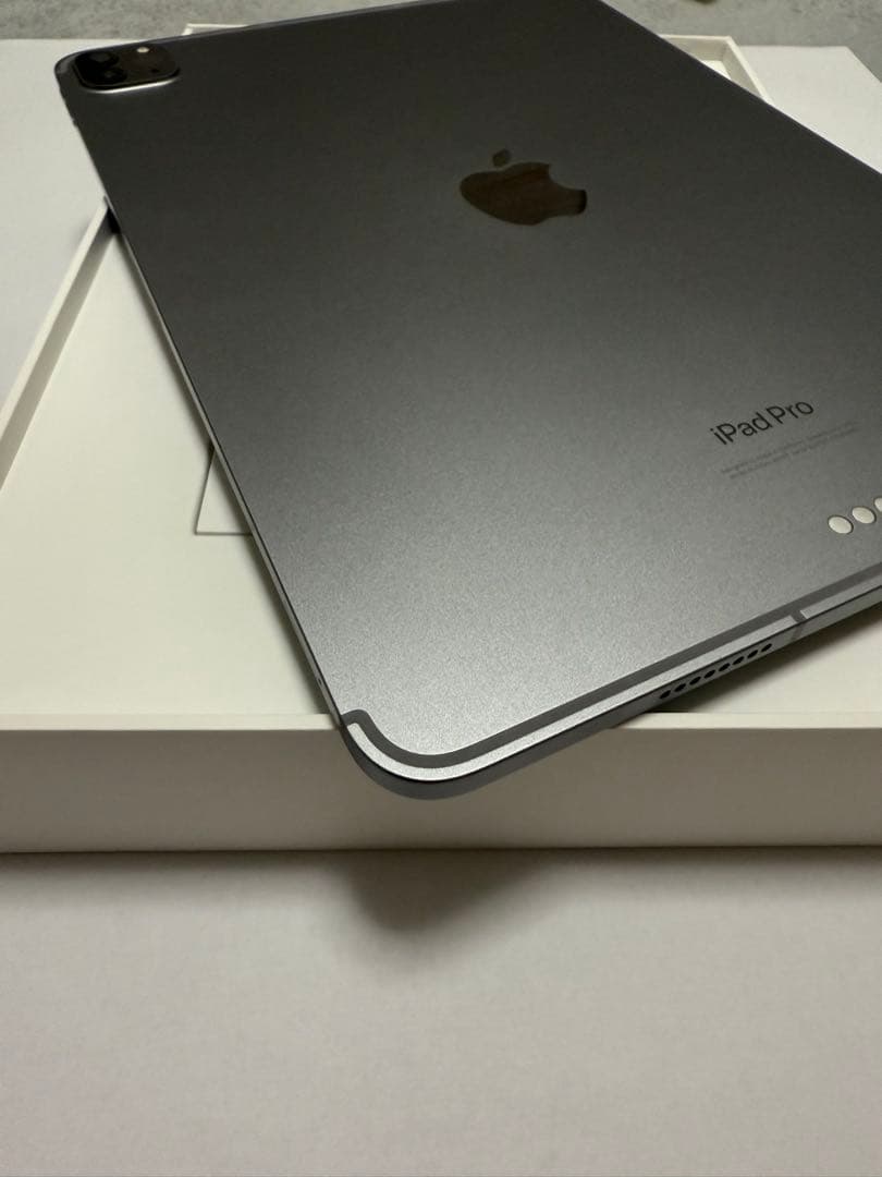 Apple iPad Pro 本体 256GB セルラー
