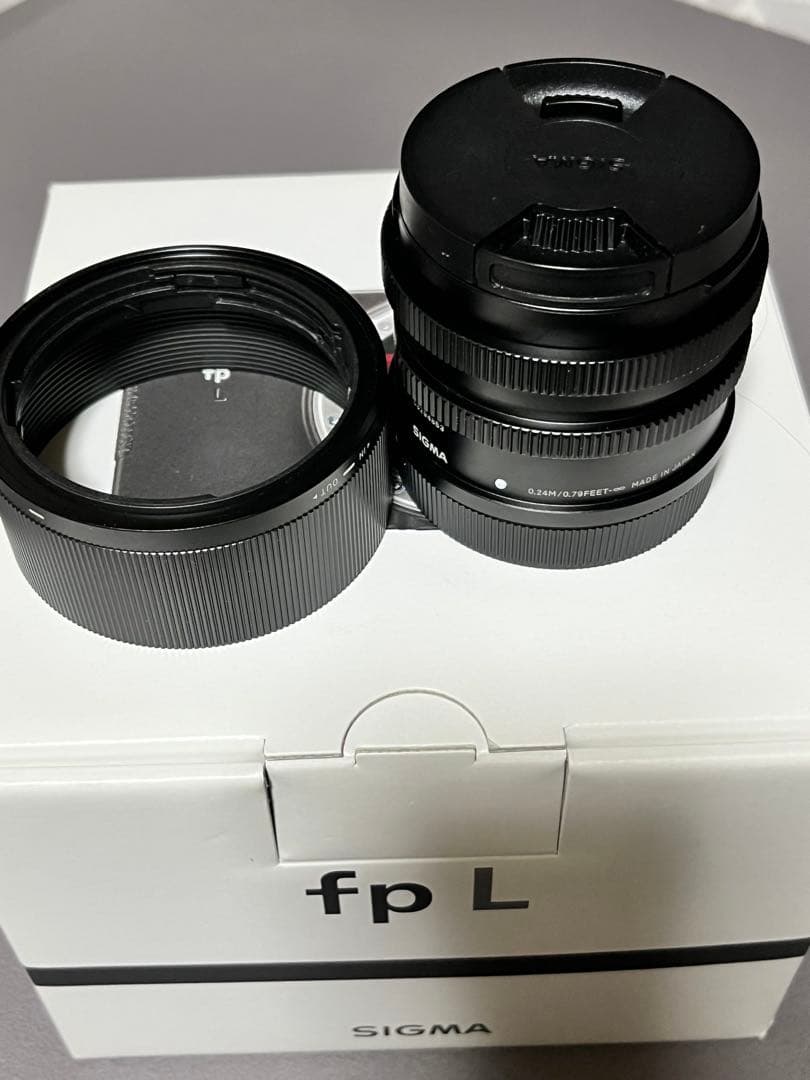 SIGMA fp L ＋ 45mmレンズ