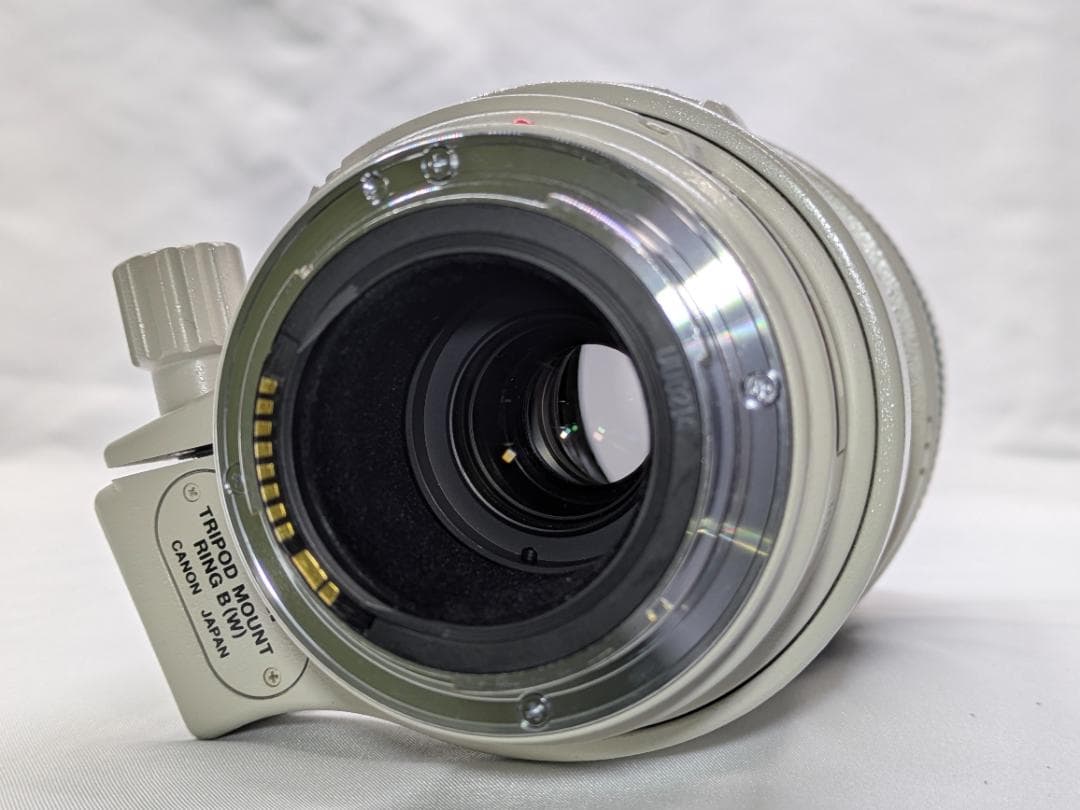 レンズ(ズーム) Canon EF 100-400mm 4.5-5.6 L IS USM #290