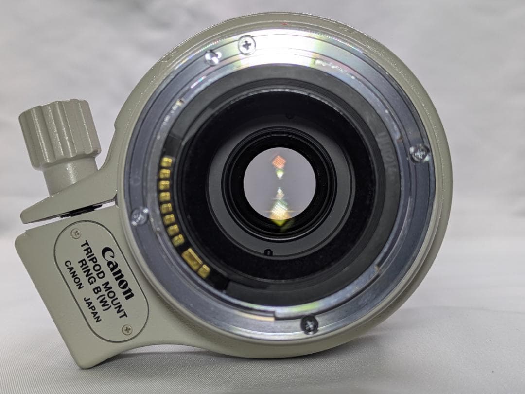 レンズ(ズーム) Canon EF 100-400mm 4.5-5.6 L IS USM #290