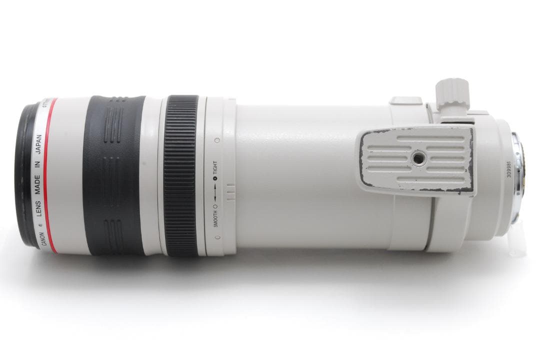 レンズ(ズーム) Canon EF 100-400mm 4.5-5.6 L IS USM #290