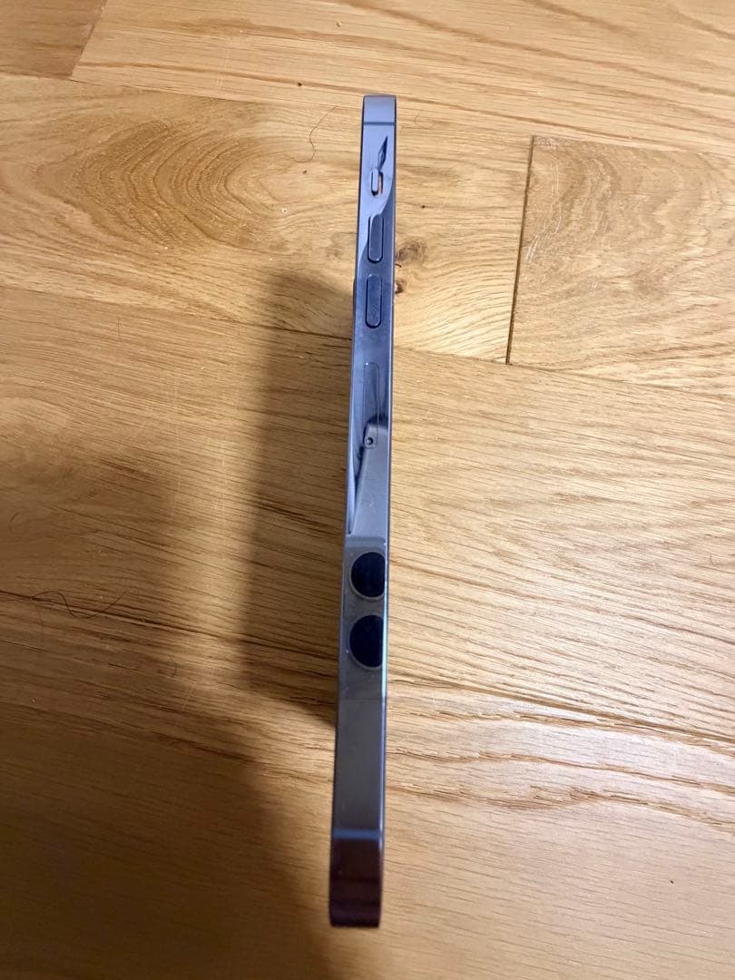 Apple iPhone 13 Pro Max シエラブルー