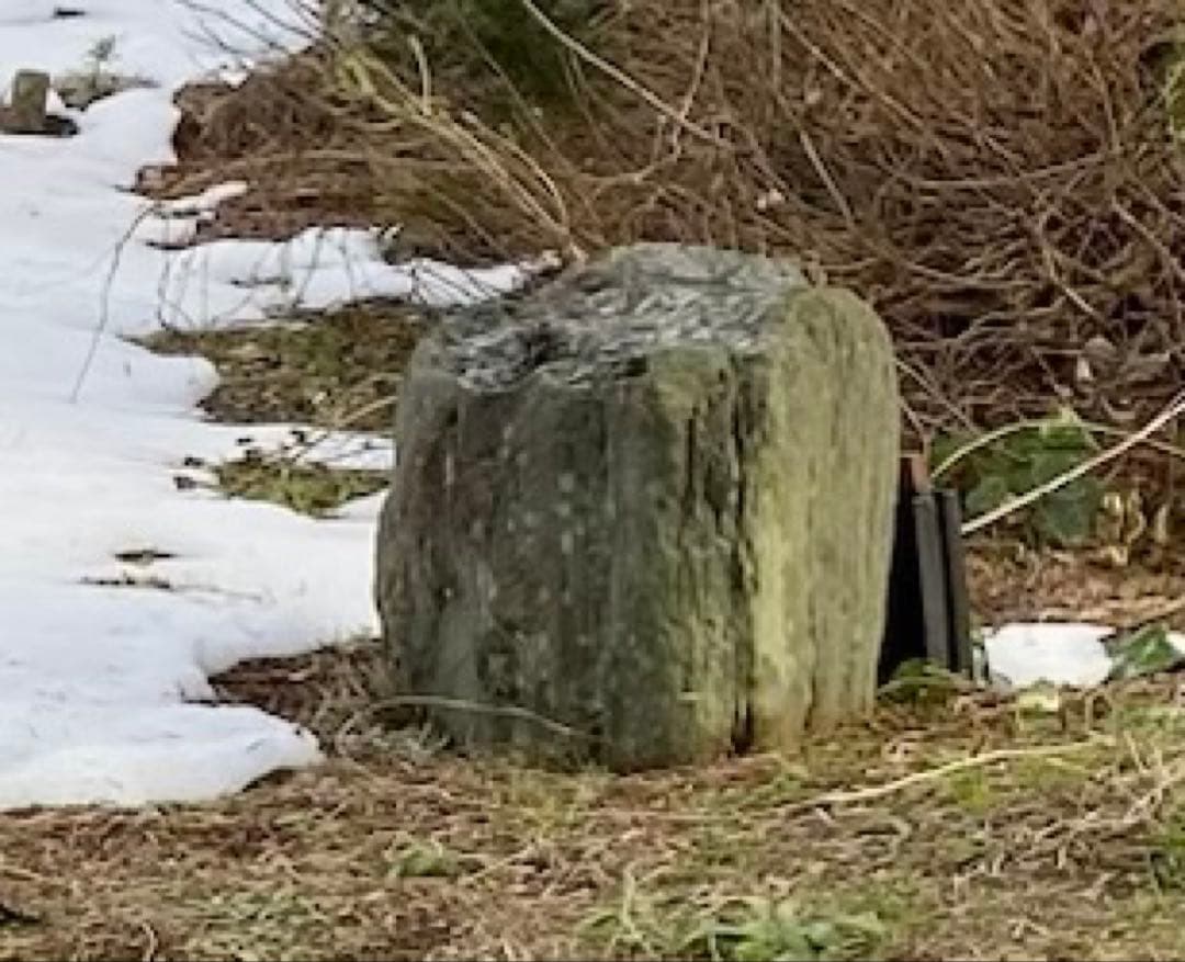 庭石 大 約90×50×45㎝ まとめ割