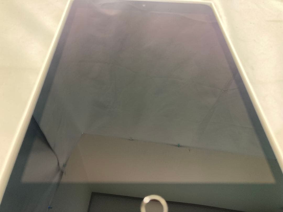 iPad mini 第5世代 256GB Wi-Fi ＋ Cellular