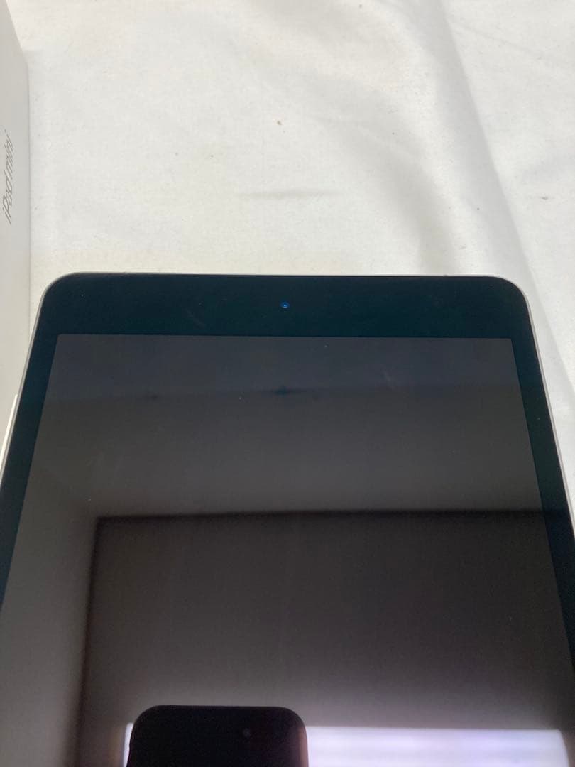 iPad mini 第5世代 256GB Wi-Fi ＋ Cellular