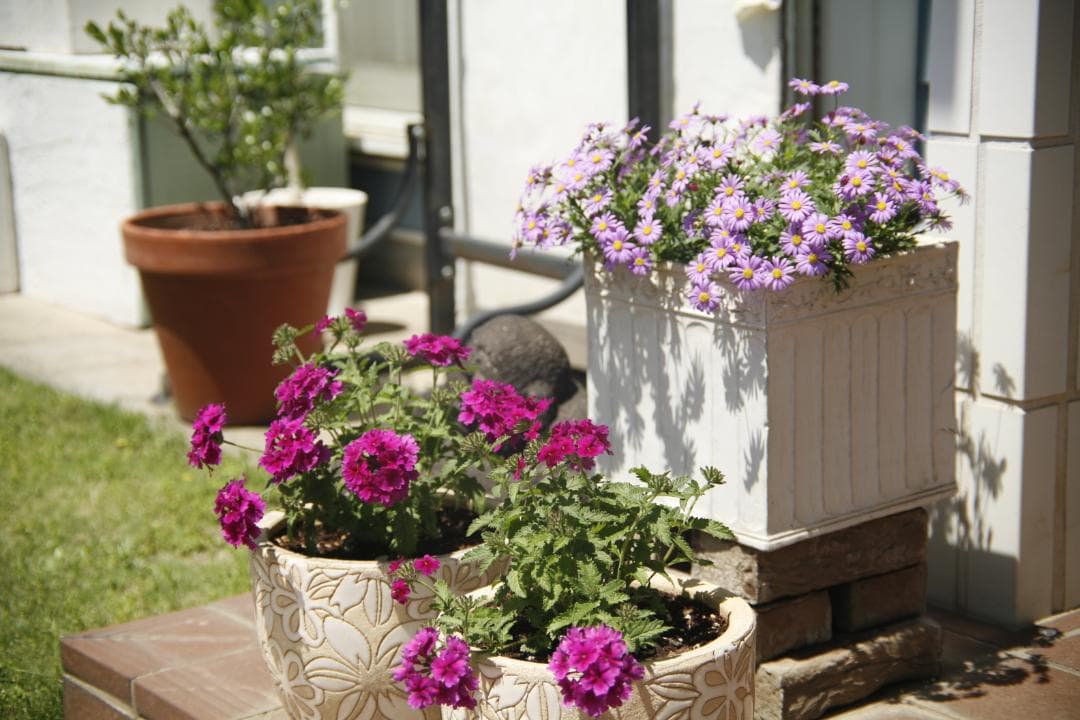 CANON 旧 FD 50mm f1.4 S.S.C.　 L92