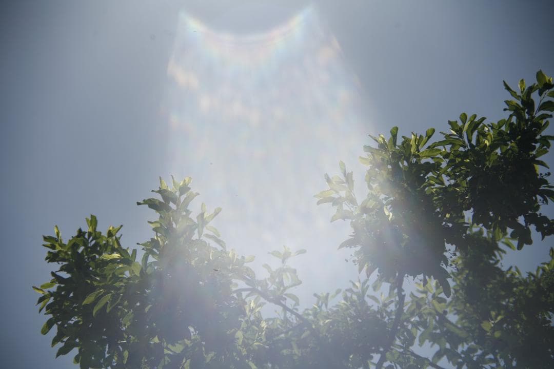 CANON 旧 FD 50mm f1.4 S.S.C.　 L92