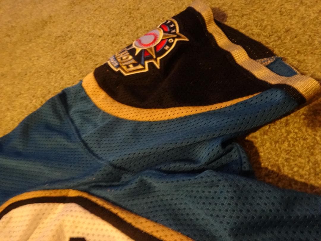 西川遥輝　2017盗塁王　記念ユニフォーム　直筆サイン入り　ヤクルトスワローズ