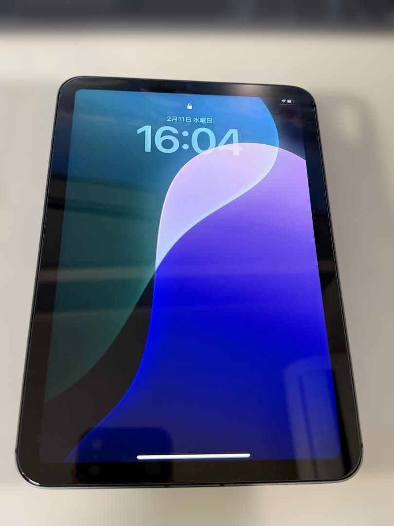 【美品/SIMフリー】iPad mini 6 / 64GB スペースグレイ
