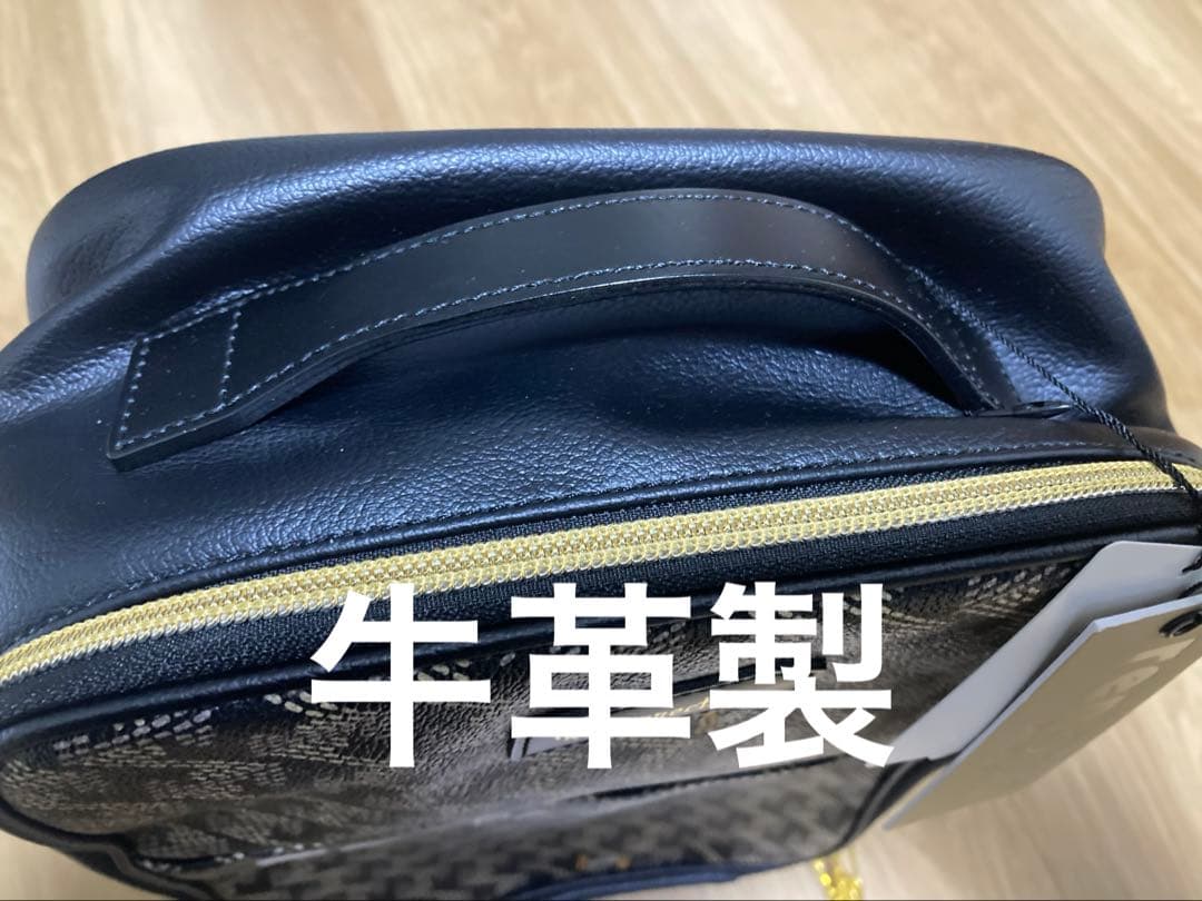 【激レア限定コラボ品】 レノマGOLF×レザレクションシューズバッグ