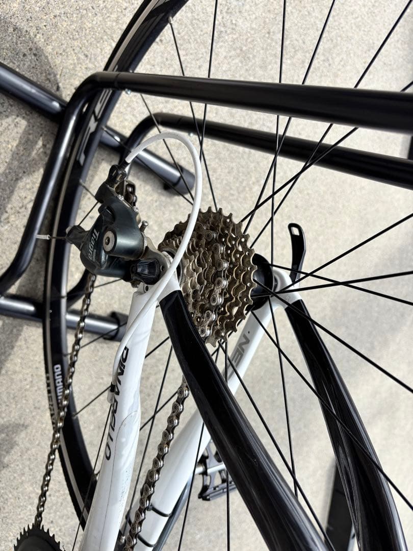 ロードバイク　pinarello NEOR レディース　女性　中学生　自転車