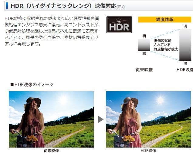 SHARP 50インチ 4K液晶テレビ LC-50U40