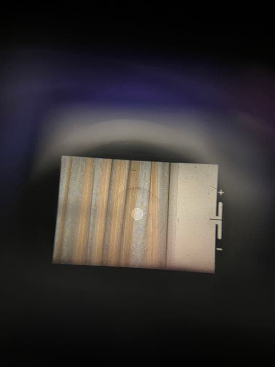 フィルムカメラ PENTAX SP