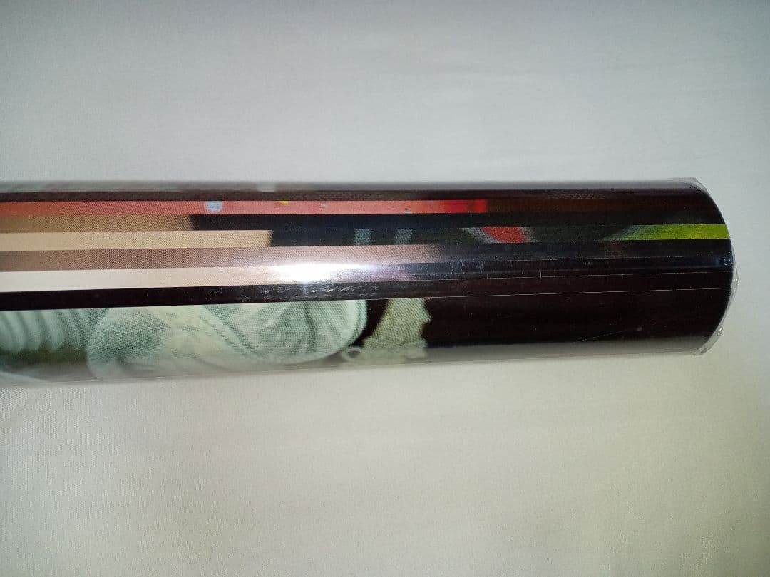 【新品・未開封】RION 壁掛け 2018年カレンダー 安齋らら 宇都宮しおん