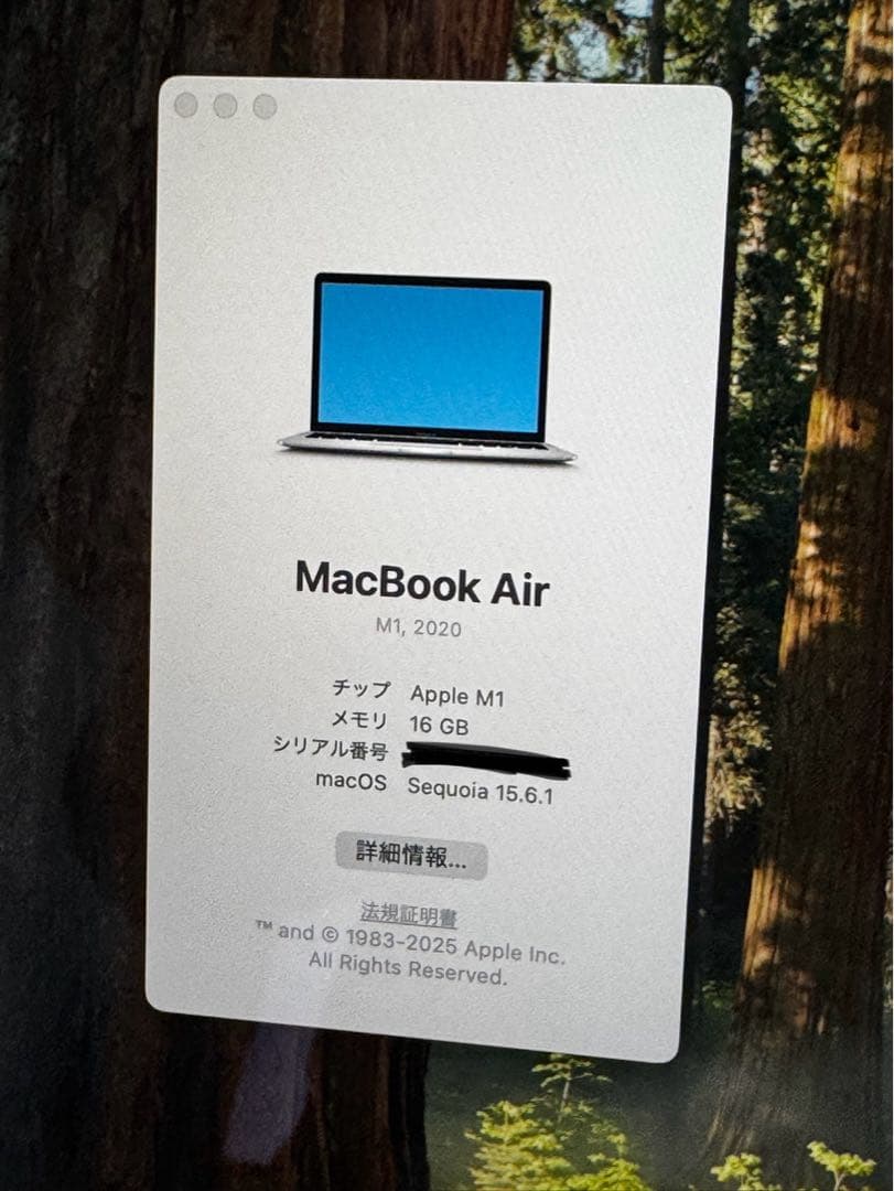 Apple MacBook Air (M1, 2020) 本体 JIS