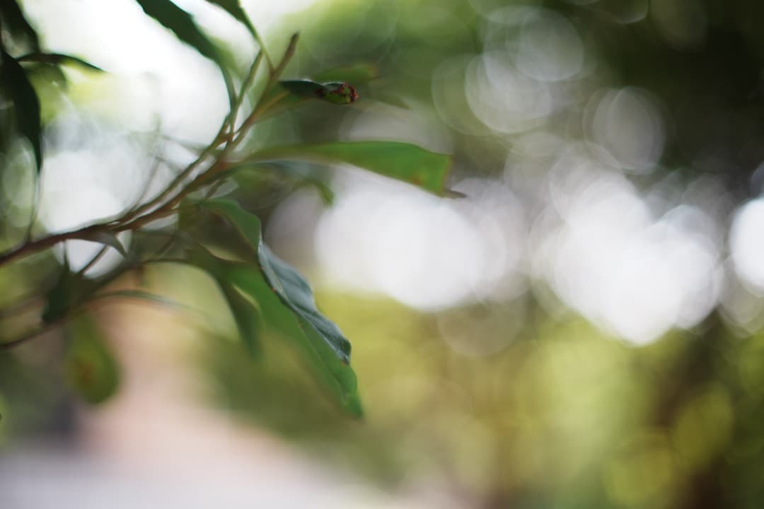 【極美品】動作◎ オリンパス G.Zuiko auto 50mm F1.4 54