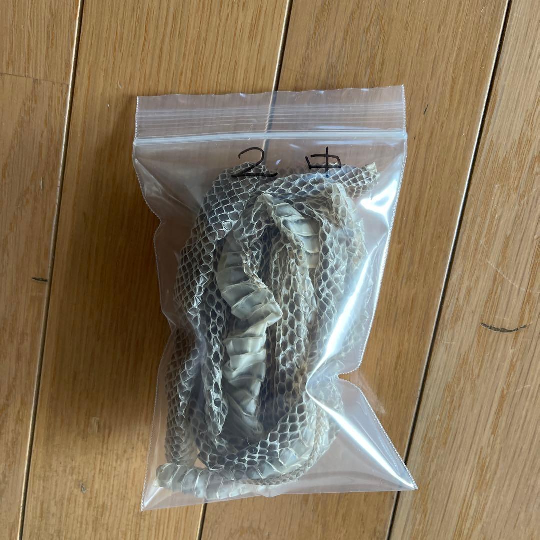 蛇の皮 約120cm
