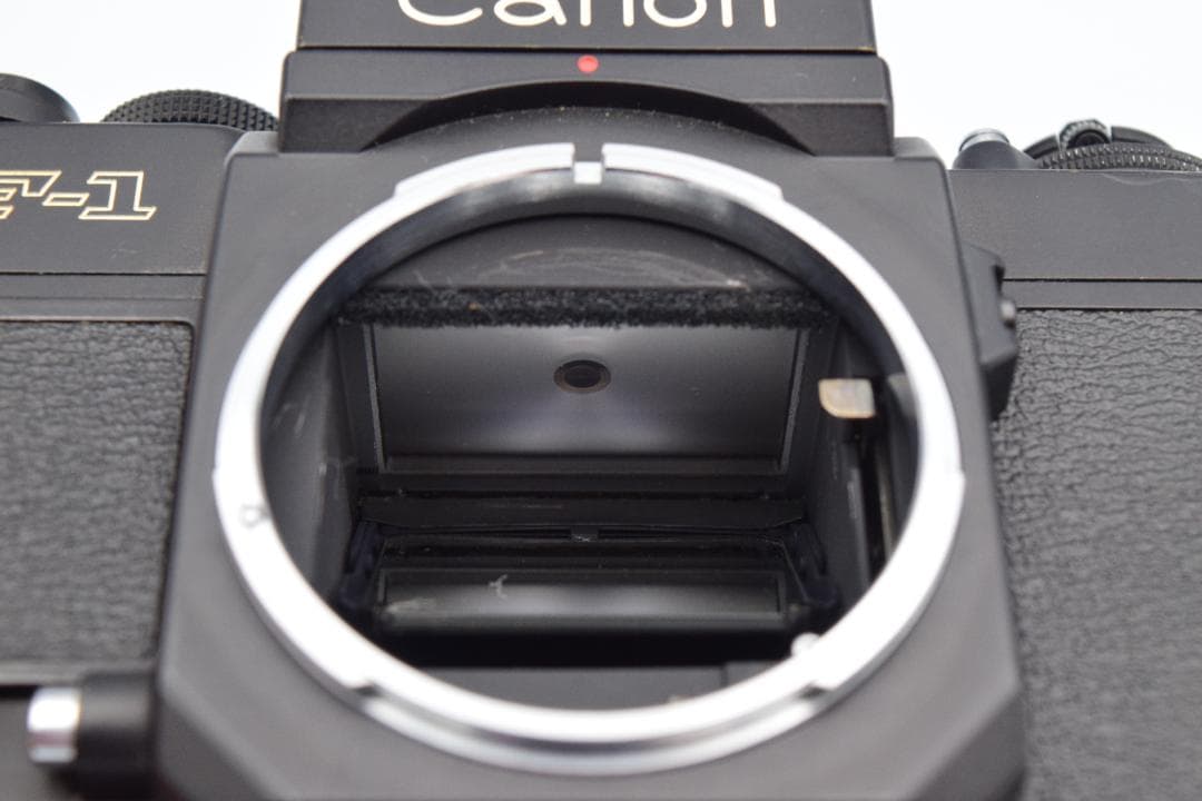 Canon New F-1 ボディ（フィルム一眼レフカメラ）#CB001