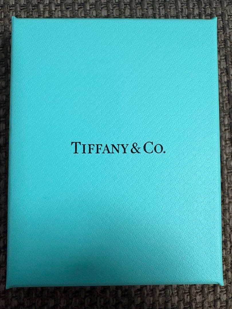 国内現行品　極美品Tiffany ティファニー空箱　巾着袋10セット