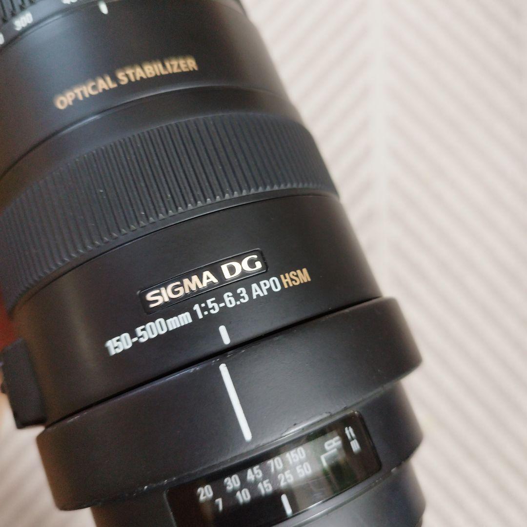 SIGMA DG 150-500mm 1.5-6.3 APO HSM レンズ