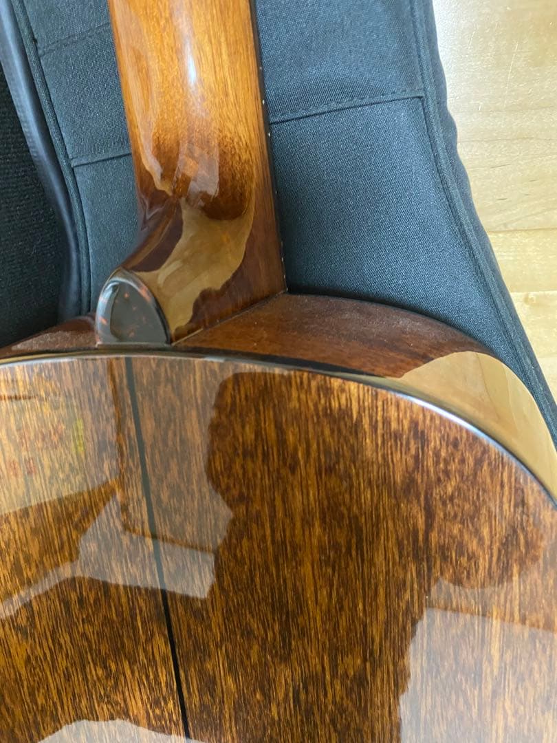 壱*徹様 値下げ❢珍‼️ ラップスチールギター　改造品　フレットレス動画あり