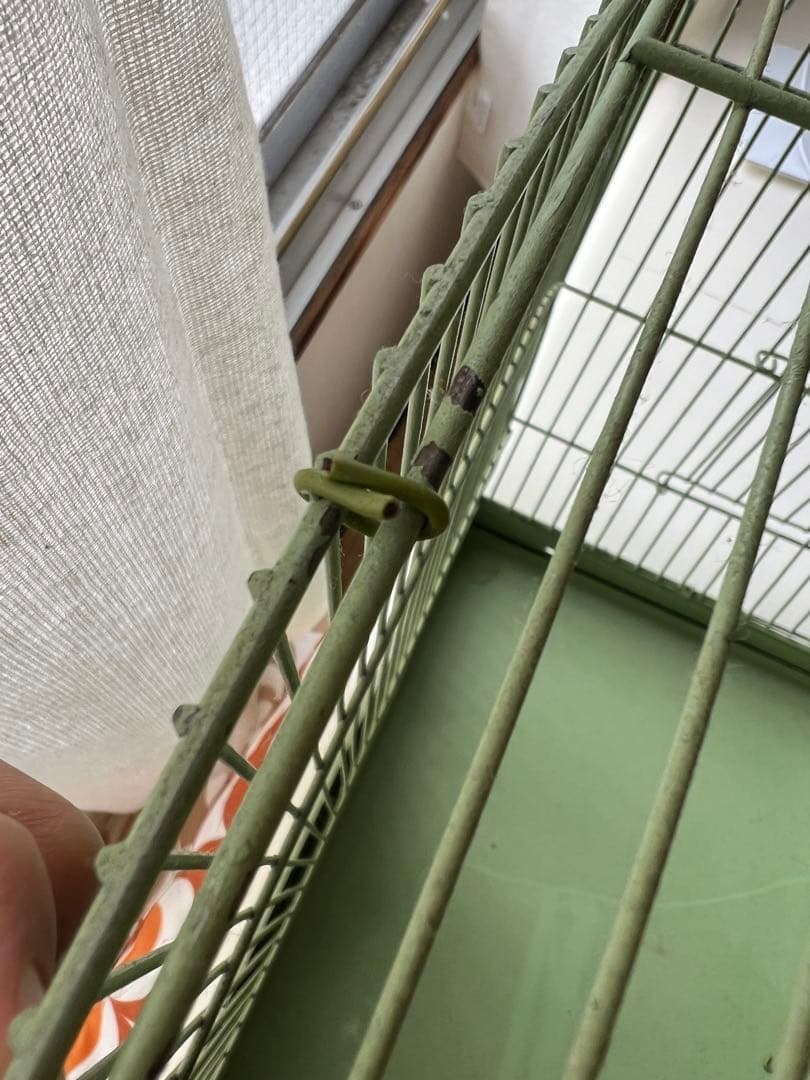 アンティーク　鳥かご　バードケージ　kinsen ビンテージ　文鳥　小鳥　琴線