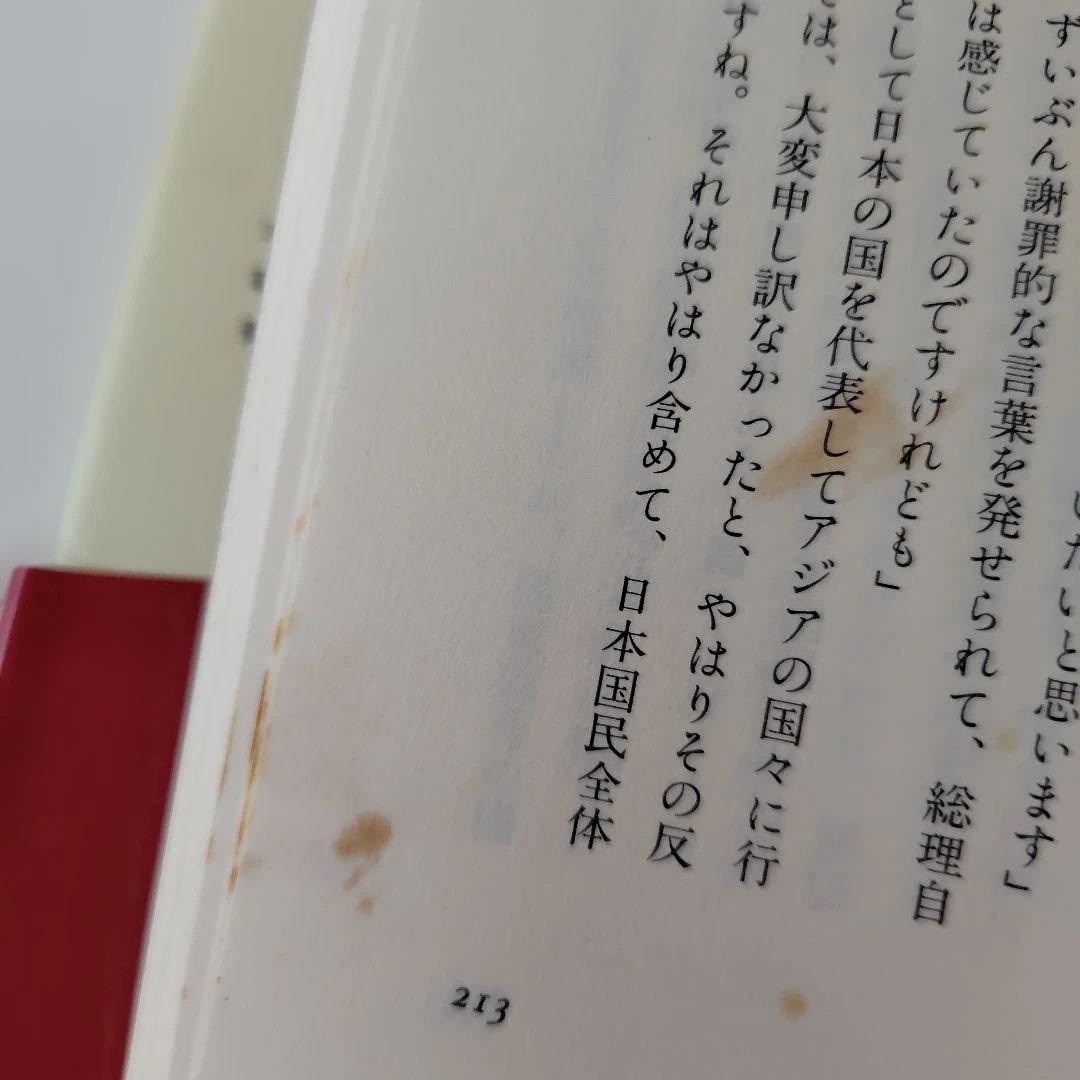 高市早苗のぶっとび永田町日記