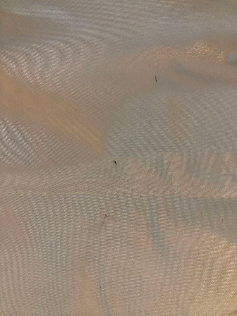  peak タープ・シェード 本体TAKIBI（オクタ）、ウイングポール