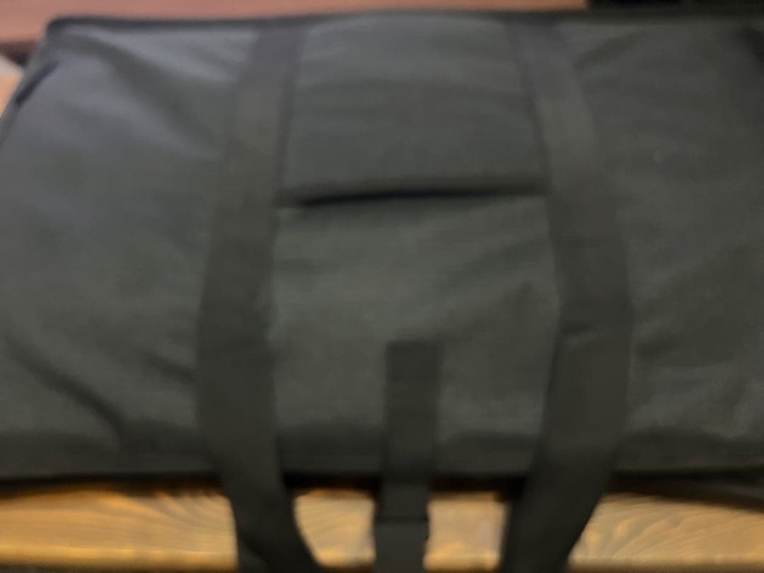 BALMUDA The Plate Pro K10A-BK＋専用収納バック