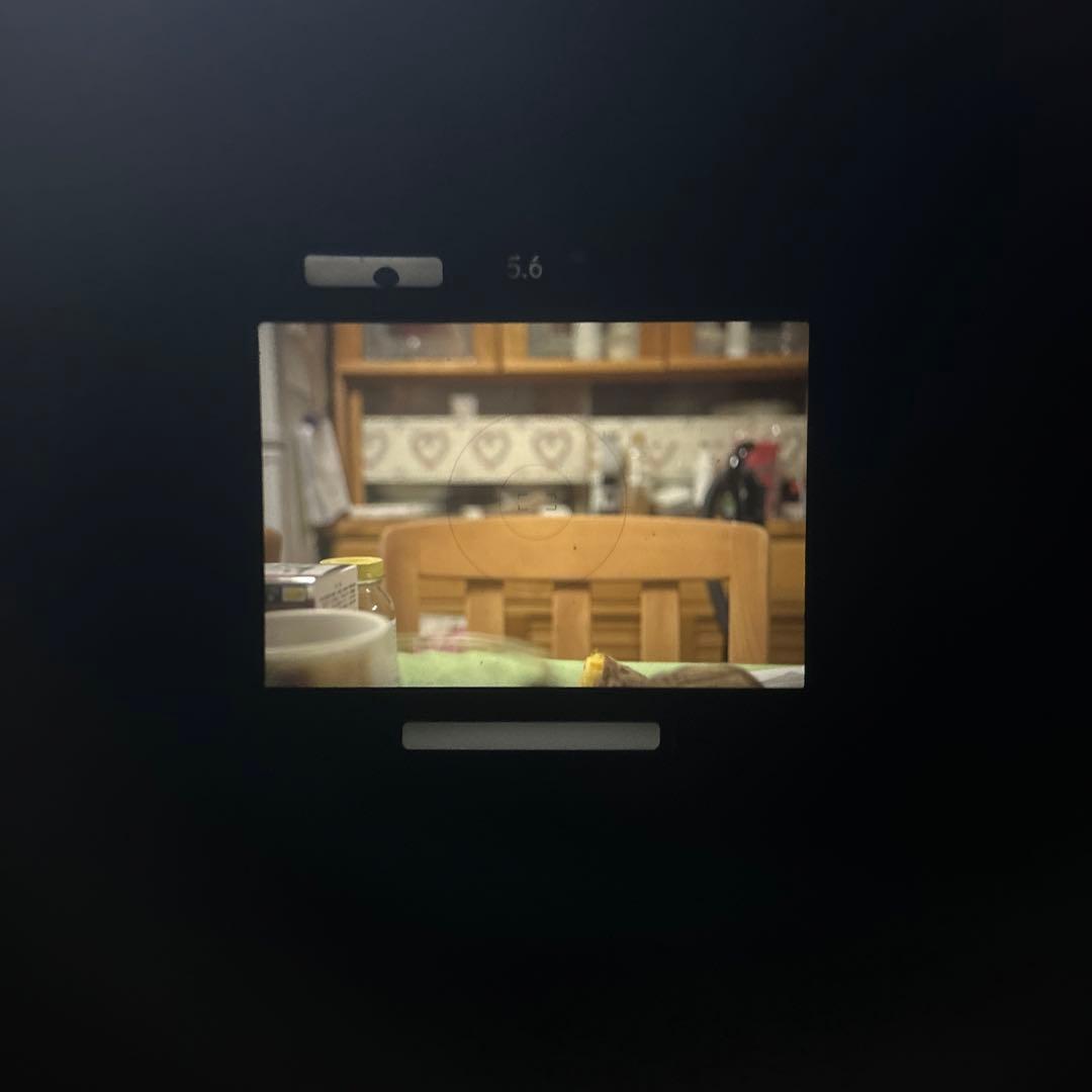 NIKON F4 フィルム一眼レフカメラ