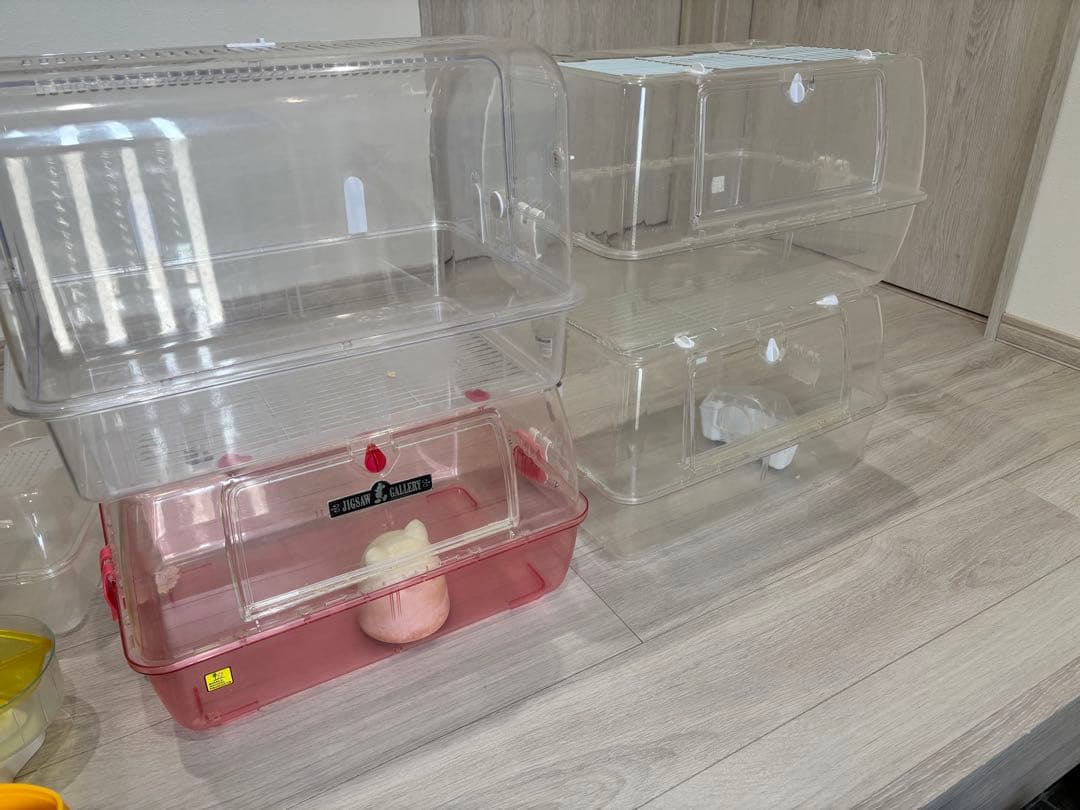 透明プラスチック製小動物用ケージ