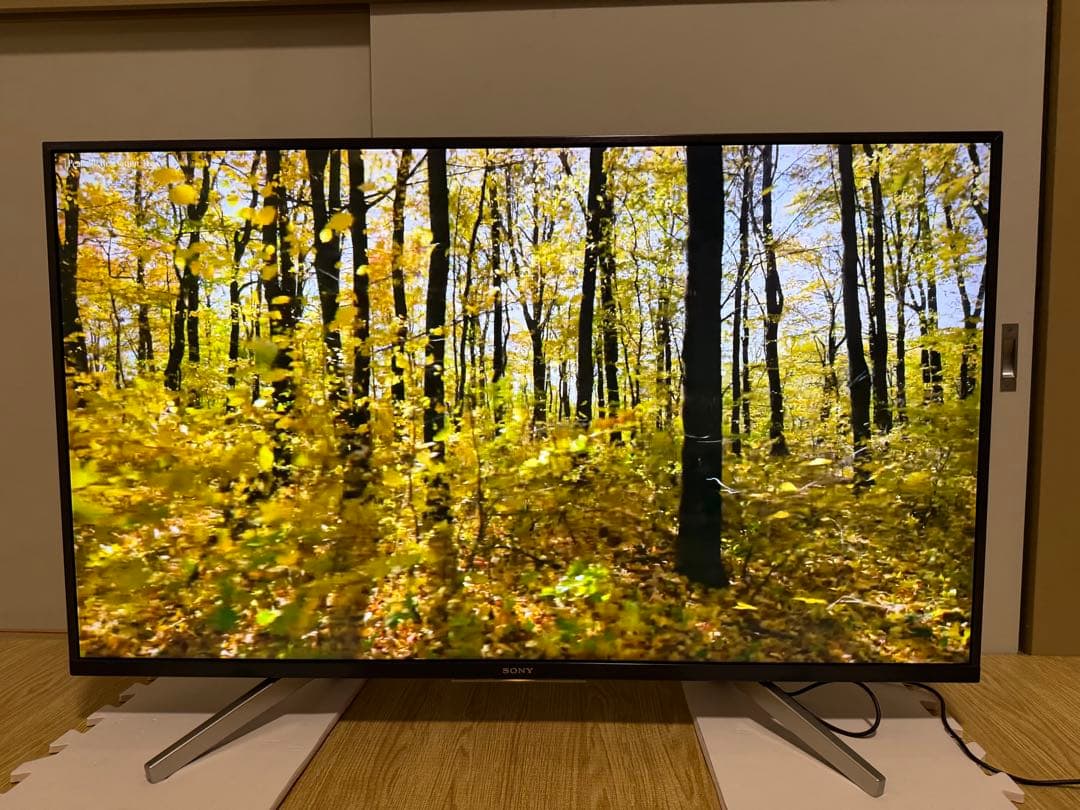 ソニー　KJ-43X8000G 43型2019年製⭕️地上 BS/CS動画可テレビ