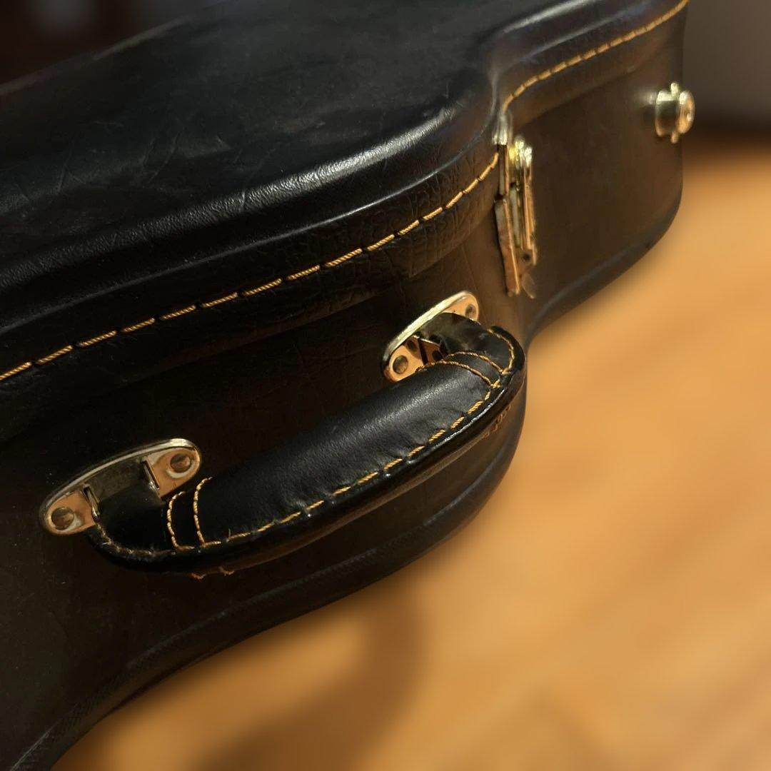 ギター larrivee LV-05