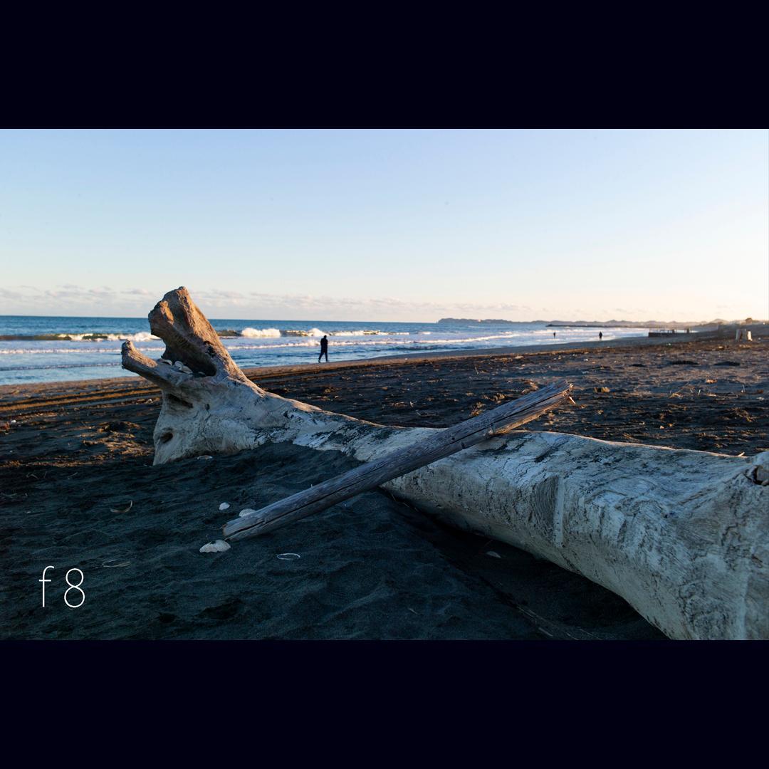 1/5まで値下げ。SUMMICRON-M 35mm f2 ASPH ズミクロン