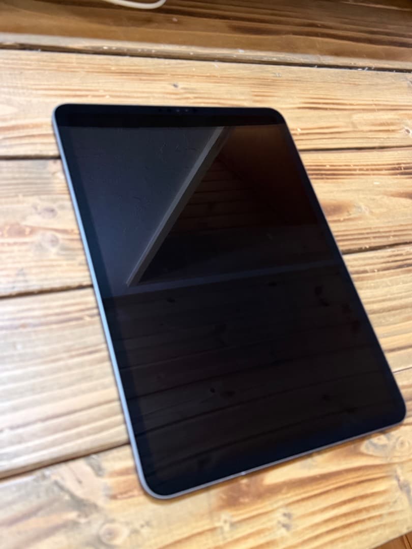 iPad pro 11 第一世代 スペースグレイ