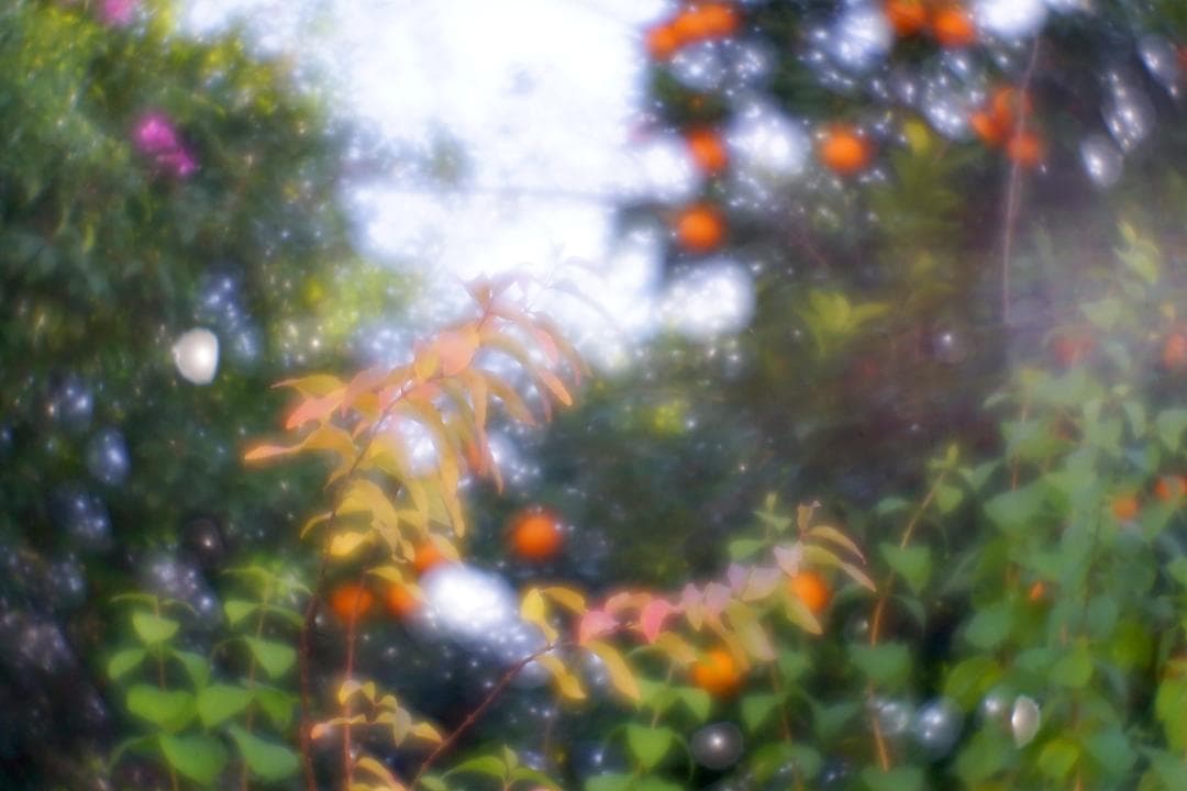 【美品】 KIYOHARA VK70R ソフトフォーカス