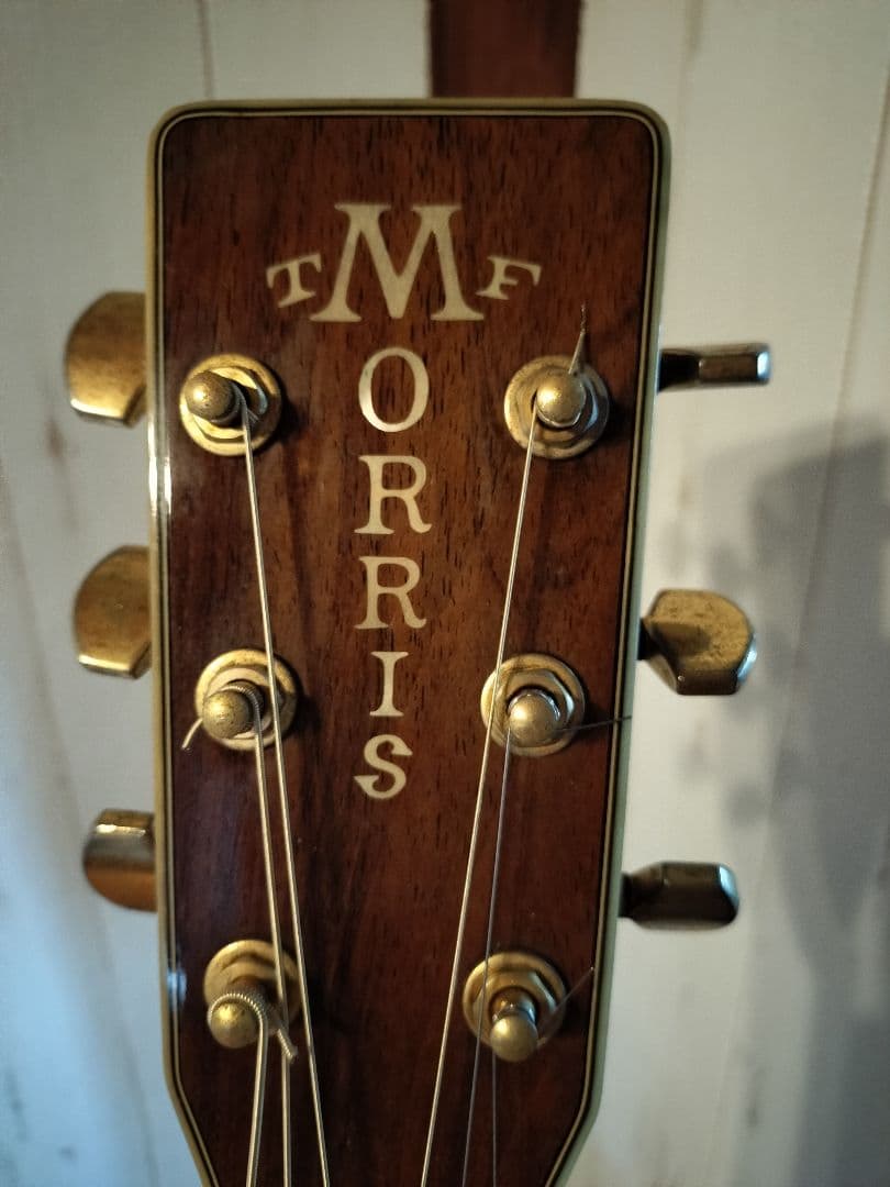 Morris TF-60　貴重　ハカランダ！　 ギグバッグ付き　今月で終了！