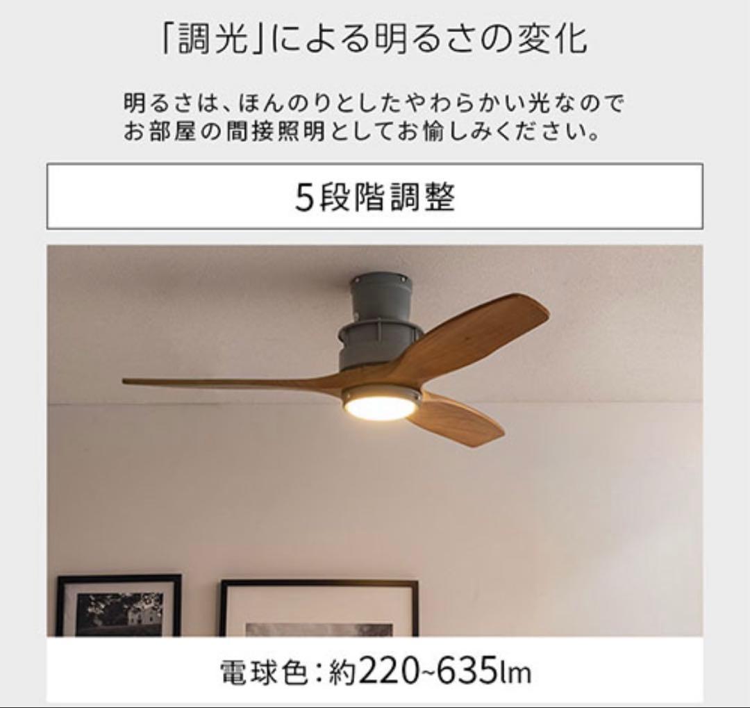 新品未使用　LIT000171 シーリングファンライト