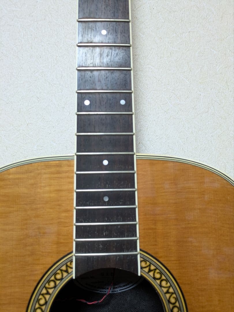 Morris Tornado gdx エレアコースティックギター(日本製)