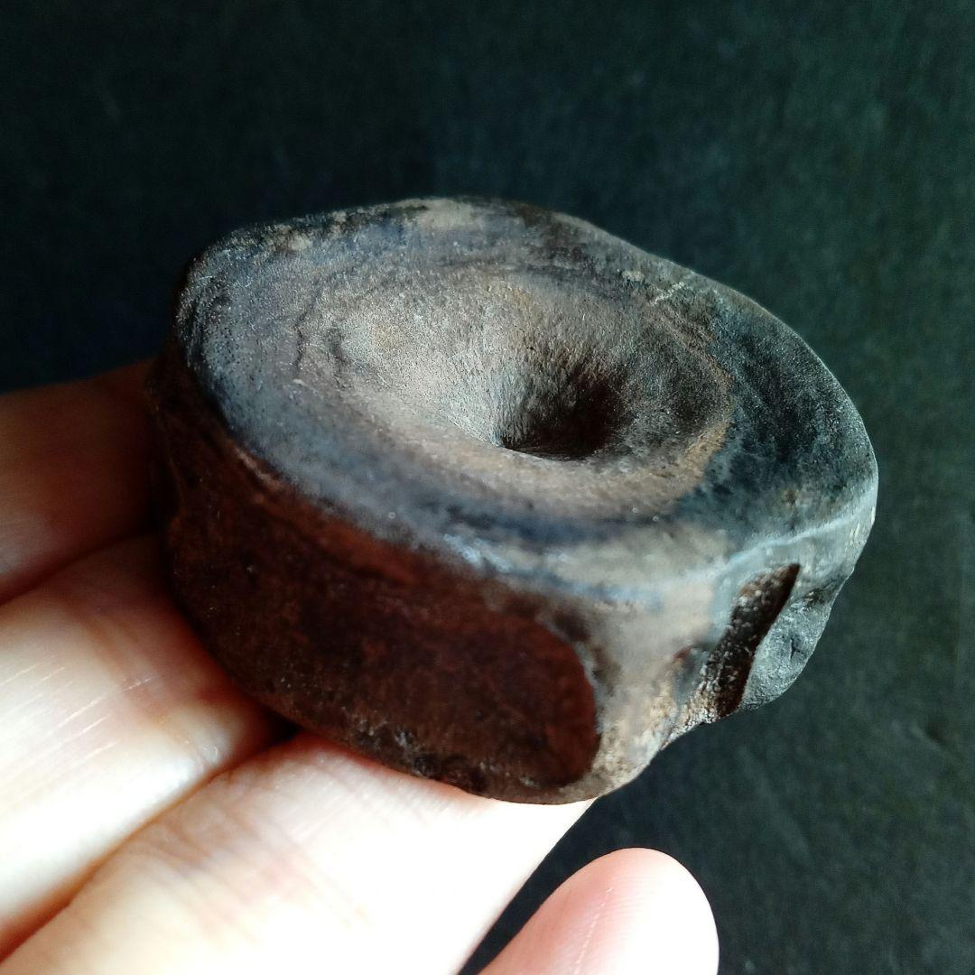 ジュラ紀　魚竜　イクチオサウルス　椎骨化石　大型特大　希少標本　英国産