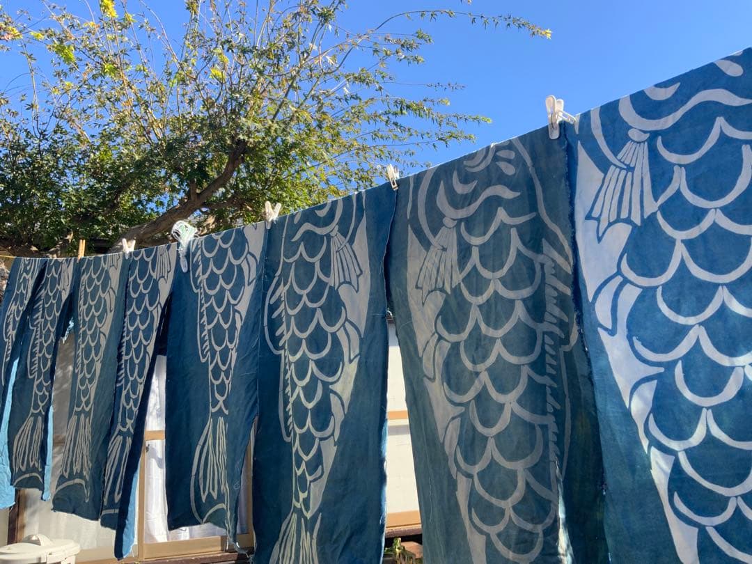 2025 正藍染　鯉のぼり　大単体　名入れあり