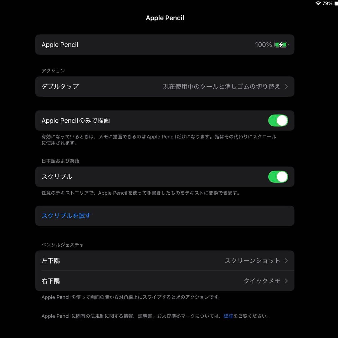 Apple Pencil 第2世代 アップルペンシル MU8F2J/A 元箱付
