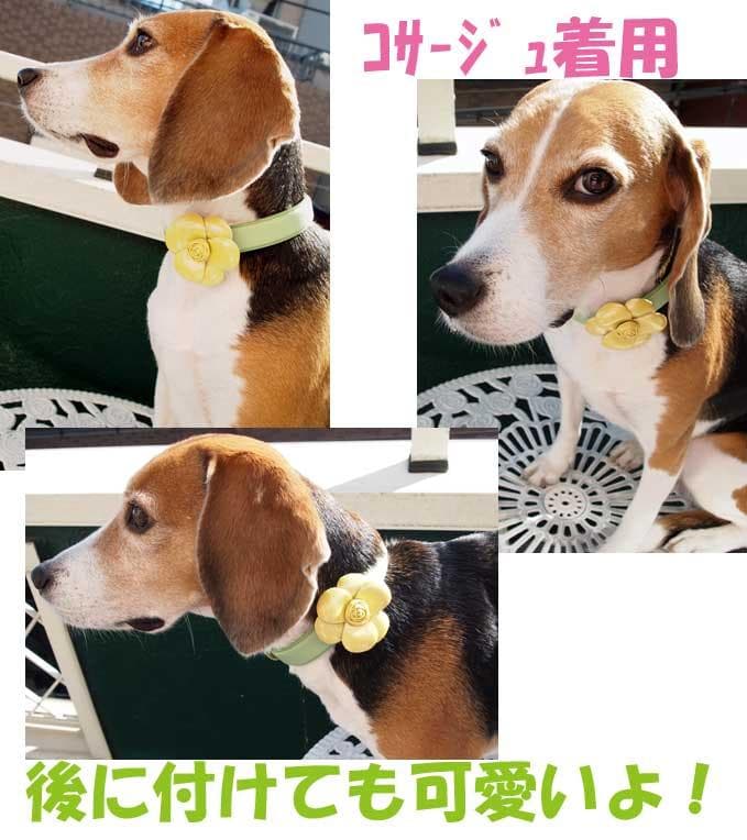 中型犬 フラワー付き高級本革カラーとリードセット　首32ｃｍ～40ｃｍ