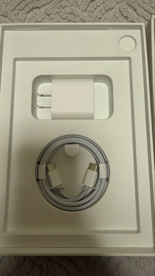 【早い者勝ち】【美品】iPad mini 第7世代 256GB Cellular