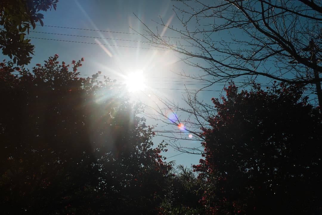 【整備＆テスト済】 ニコン Nikkor-o Auto 35mm F2 738