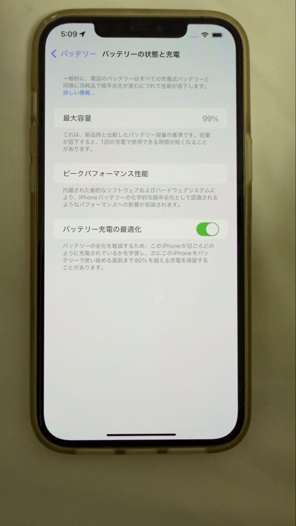 iPhone 12 pro max 即日発送のネコさん専用