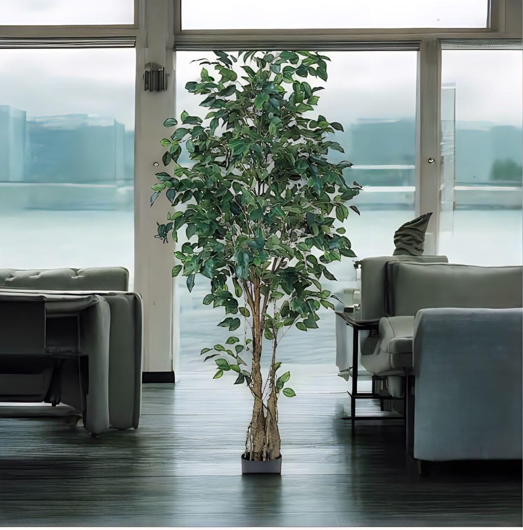 光触媒　人工観葉植物　ウォールグリーン　フェイクグリーン　フィカスツリー152