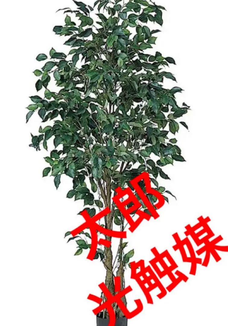 光触媒　人工観葉植物　ウォールグリーン　フェイクグリーン　フィカスツリー152